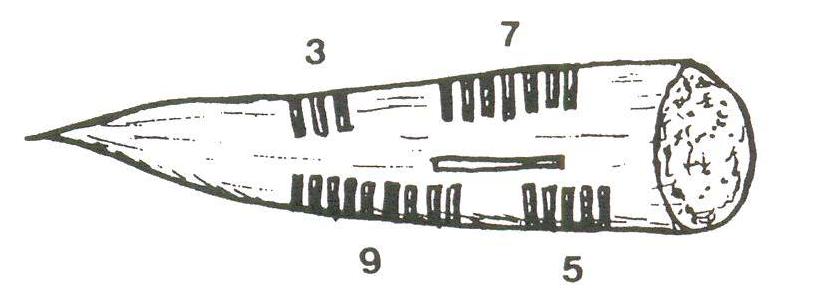 Punzone di ossa di renna (datato tra il 19'000 e il 12'000 a. C.).